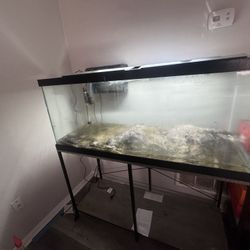 75 Gallon Fish Tank 