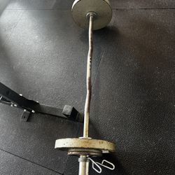 EZ Curl Bar With Weights
