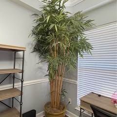 8ft Faux Bamboo Tree w/heavy ceramic pot