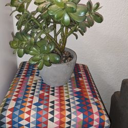 Faux Plant