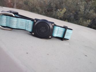 Dog Collar With BuiltIn Apple AirTag