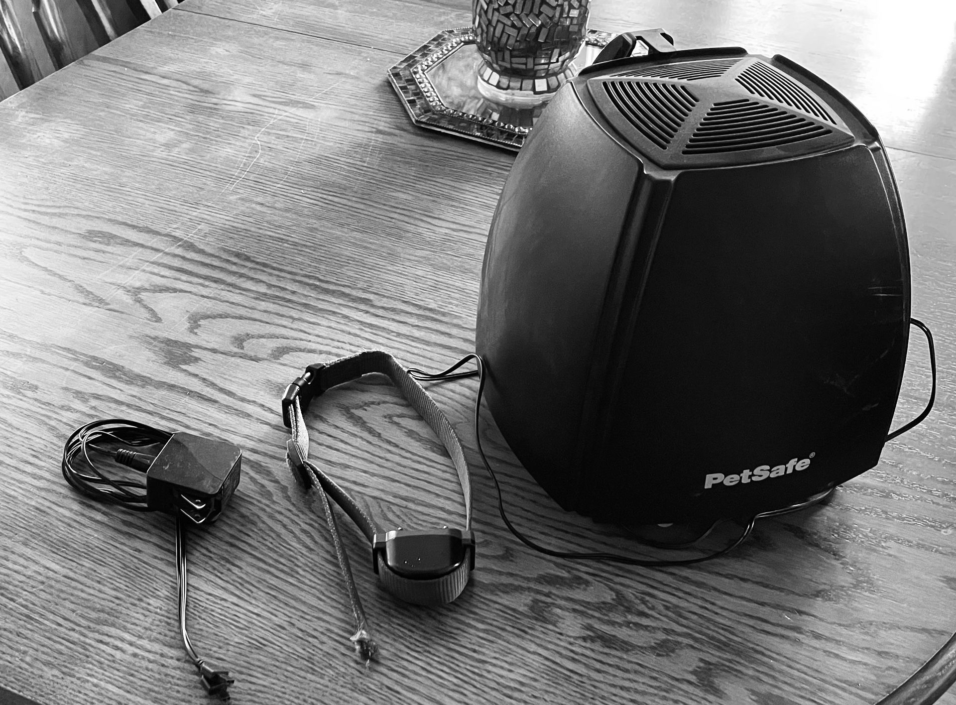 PetSafe Free to Roam Wireless Fence for Pet