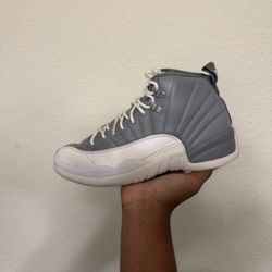Jordan 12 Stealth