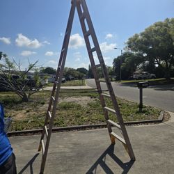 Werner 14 Foot Ladder