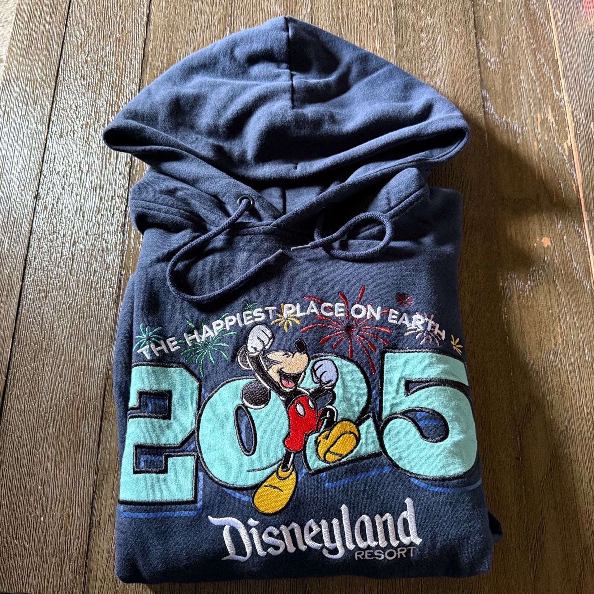 Disneyland Hoodie Size M men’s