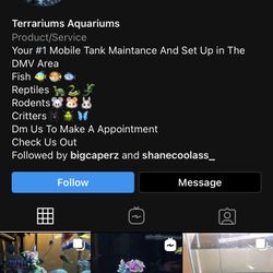 Aquarium Maintenance