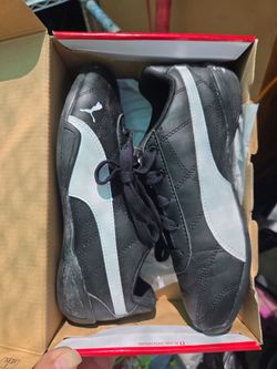 Puma Tune Cat 3 ps