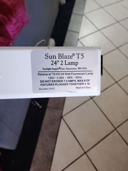 Light