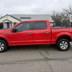 Ford F-150 XL 5.0 