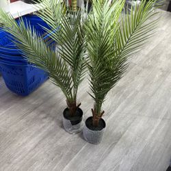 Palms 2 pcs  3 feet new