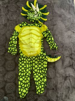 Dinosaur costume