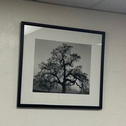 Ansel Adams Framed Wall Art