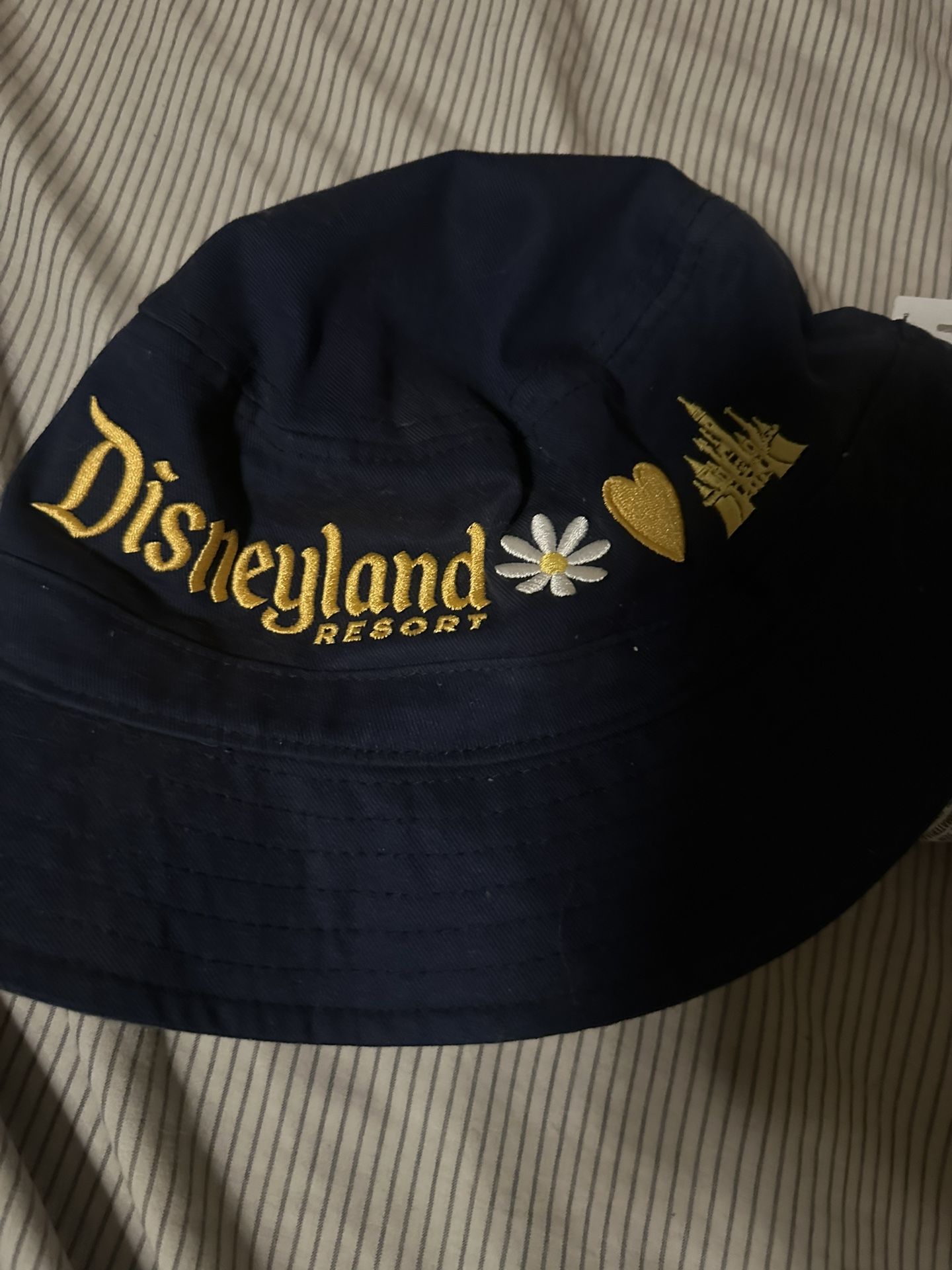 Used Disney Ears
