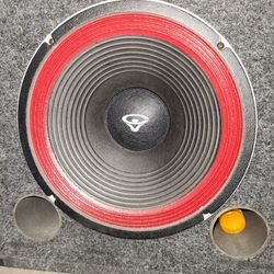 VINTAGE PROFESSIONAL SPEAKER SYSTEM 