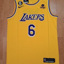 Lebron James Lakers Gold With Purple Jersey!