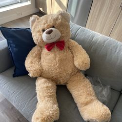 Teddy Bear (Brand new)