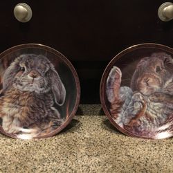 Bunny Tales Plates