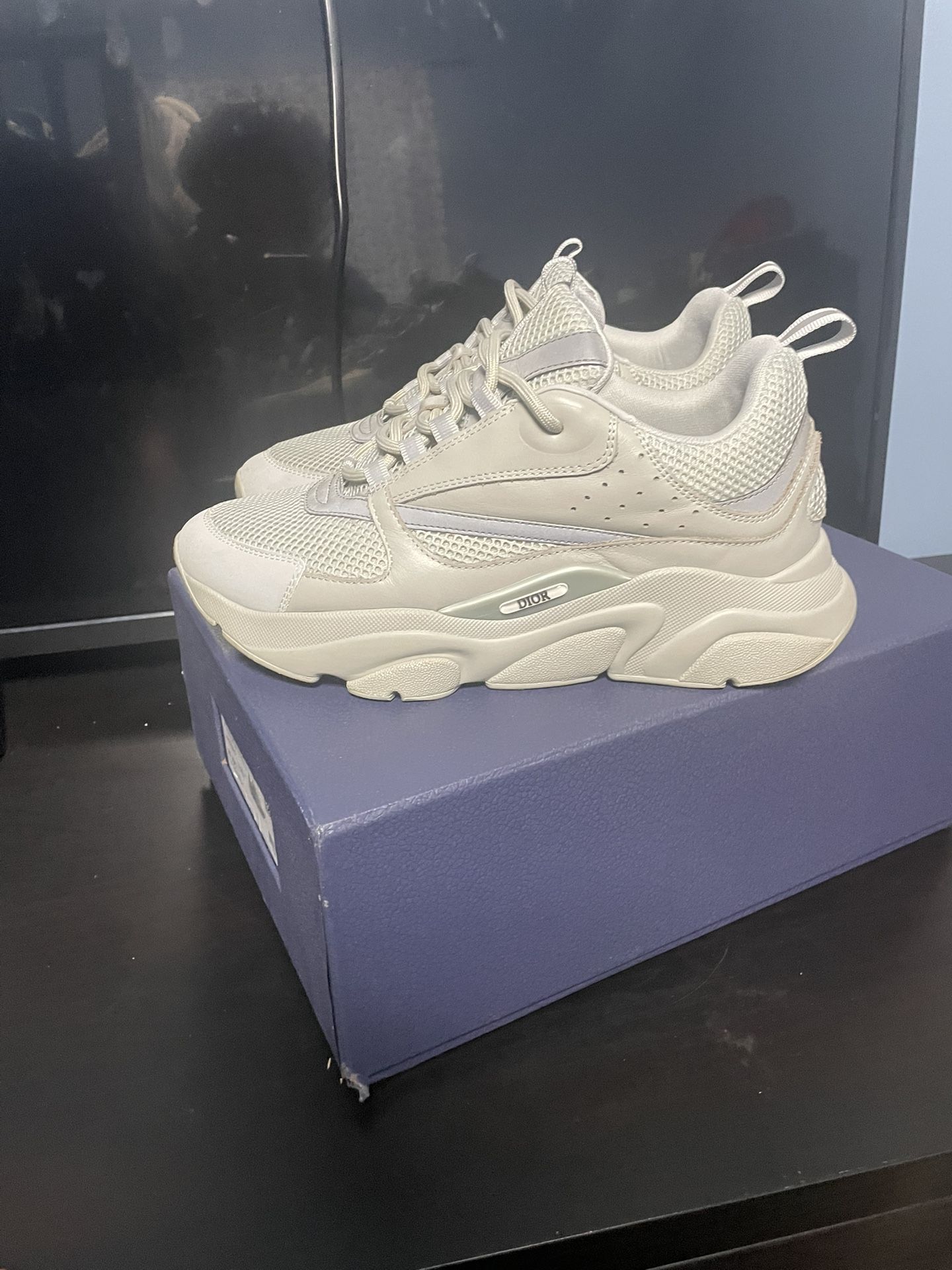 Grey Dior b22 Size 42 (CHECK DESCRIPTION)