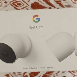 Google Nest Indoor/outdoor Cameras