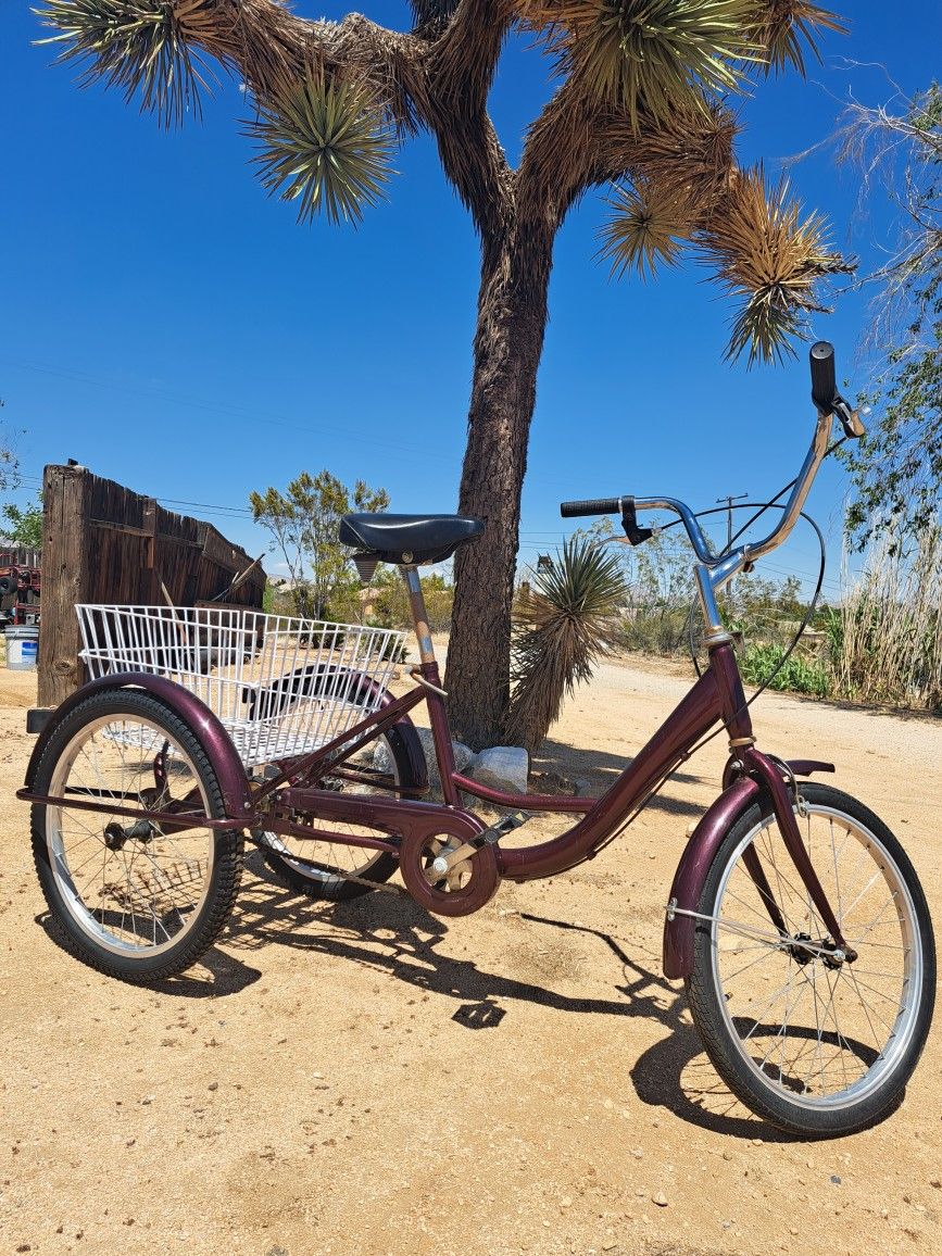 ADULT TRICYCLE GOOD WORKING CONDITION