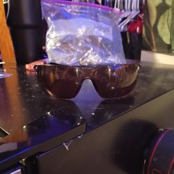 Carhart Safety Shades