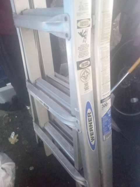 Werner Ladder (17ft-300lbsCAP)
