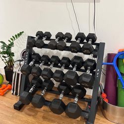 Hex Dumbbell Set + Weight Stand (Full Range 10-40lbs)