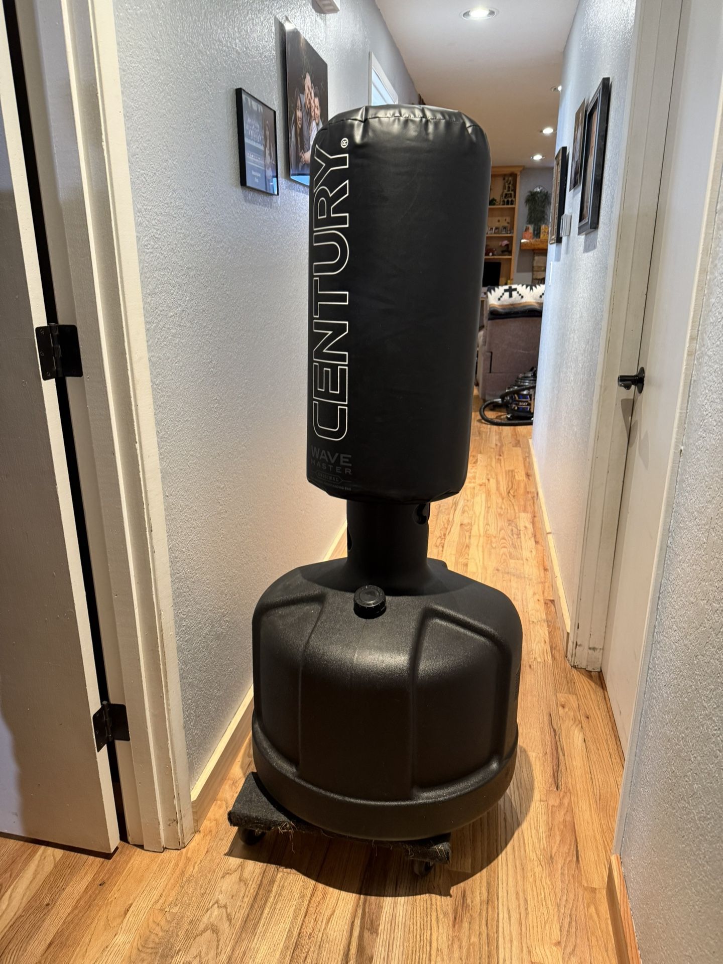 Century Punching Bag