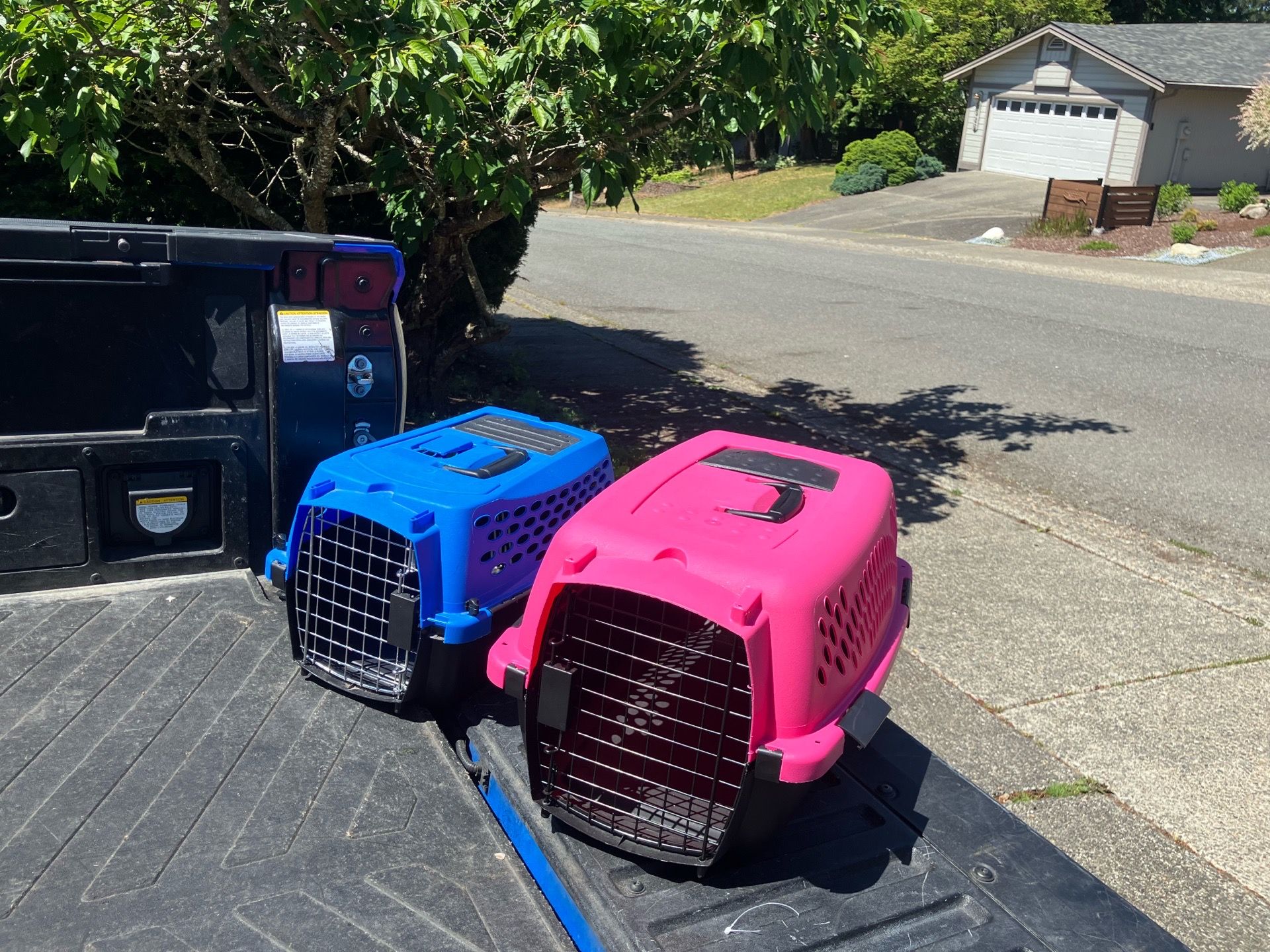 Small Dog Cat Rabbit Bunny Kennel Crate Carrier Like New 20” L by 10” W by 10” H $20 Each