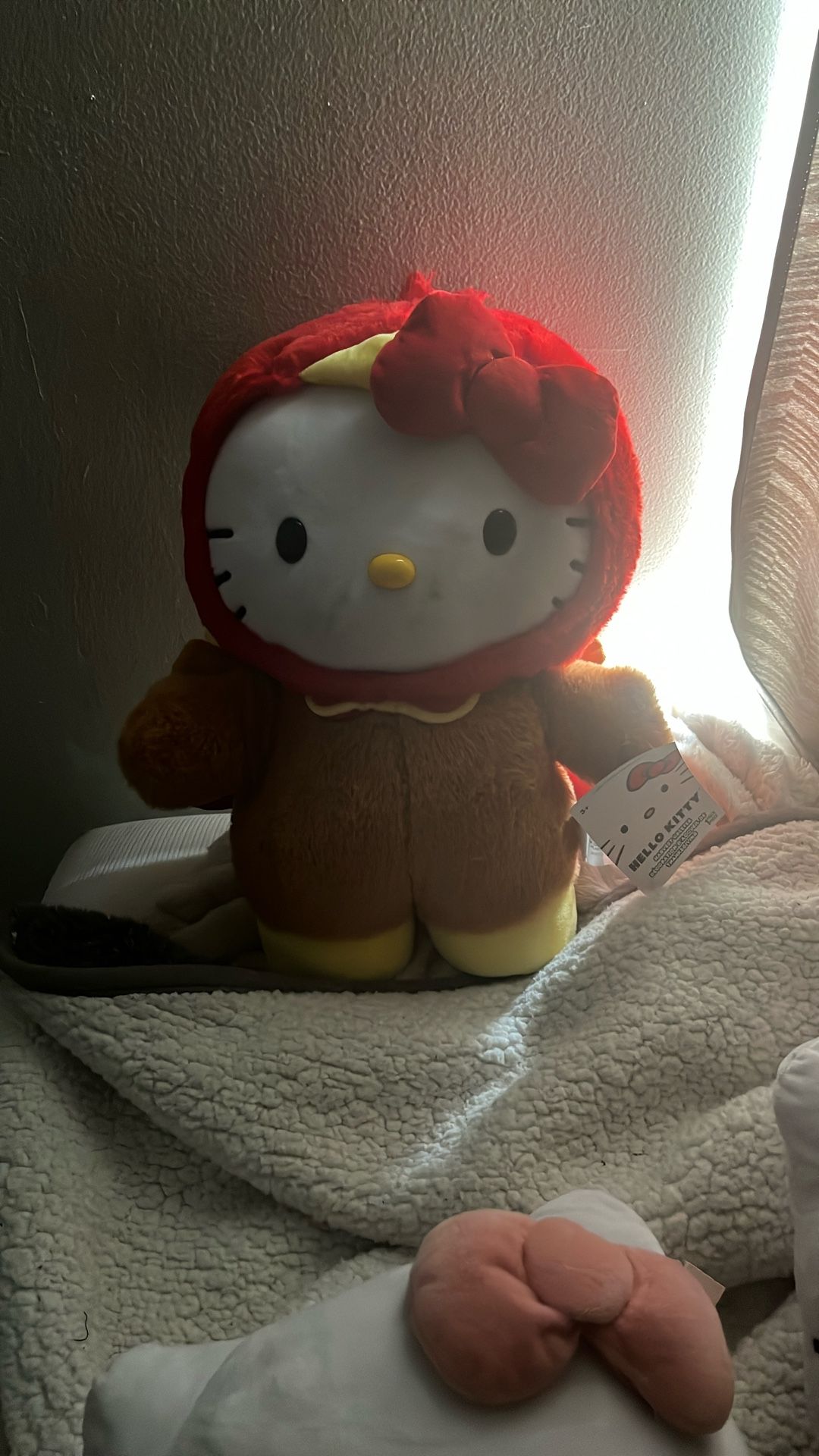 Thanksgiving Hello Kitty Turkey Greeter