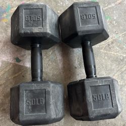 REP weights