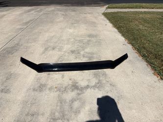 Hood bug shield