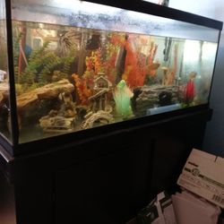 75 Gallon Fish Tank