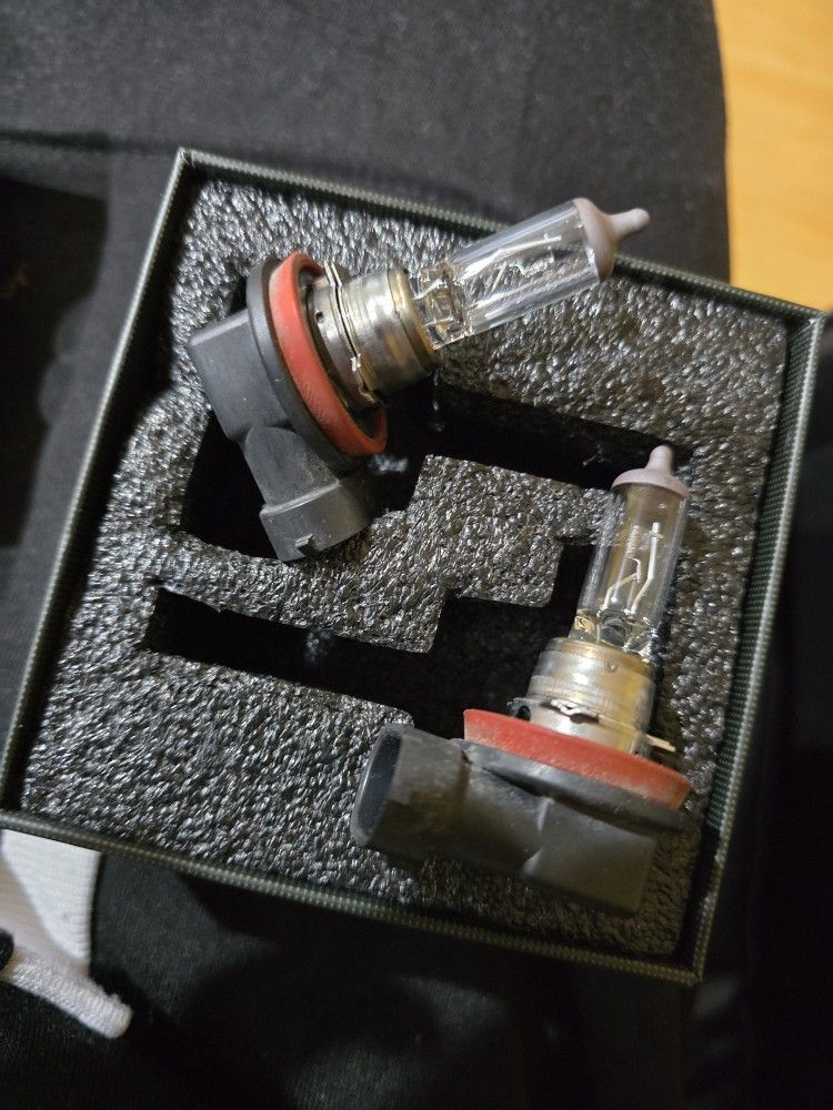H11 Bulbs
