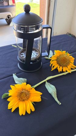 French press coffee maker