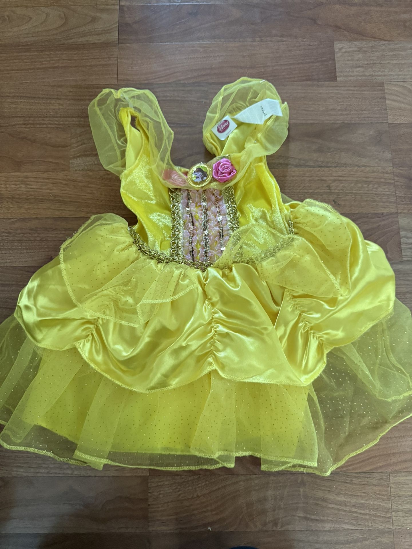 Costume Beauty And The Beast