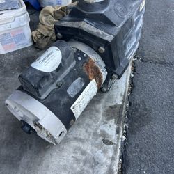 Pool Motor 