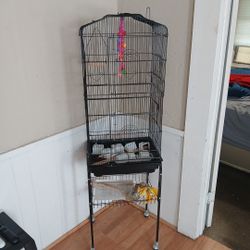 Bird Cage
