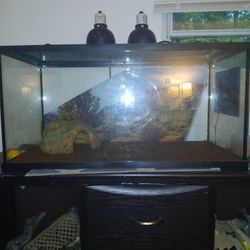 Lizard Tank 60 Gallons