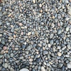 Pebble Rock