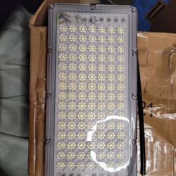 Growing Lights