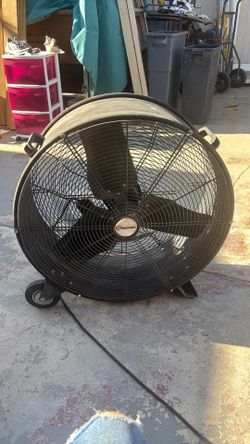 Fan