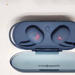 Wireless Earbuds (Charge Worxl