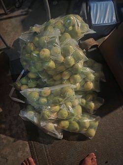 Organic limes