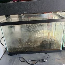 10 Gallon Fish Tank Sponge Filter And Heater