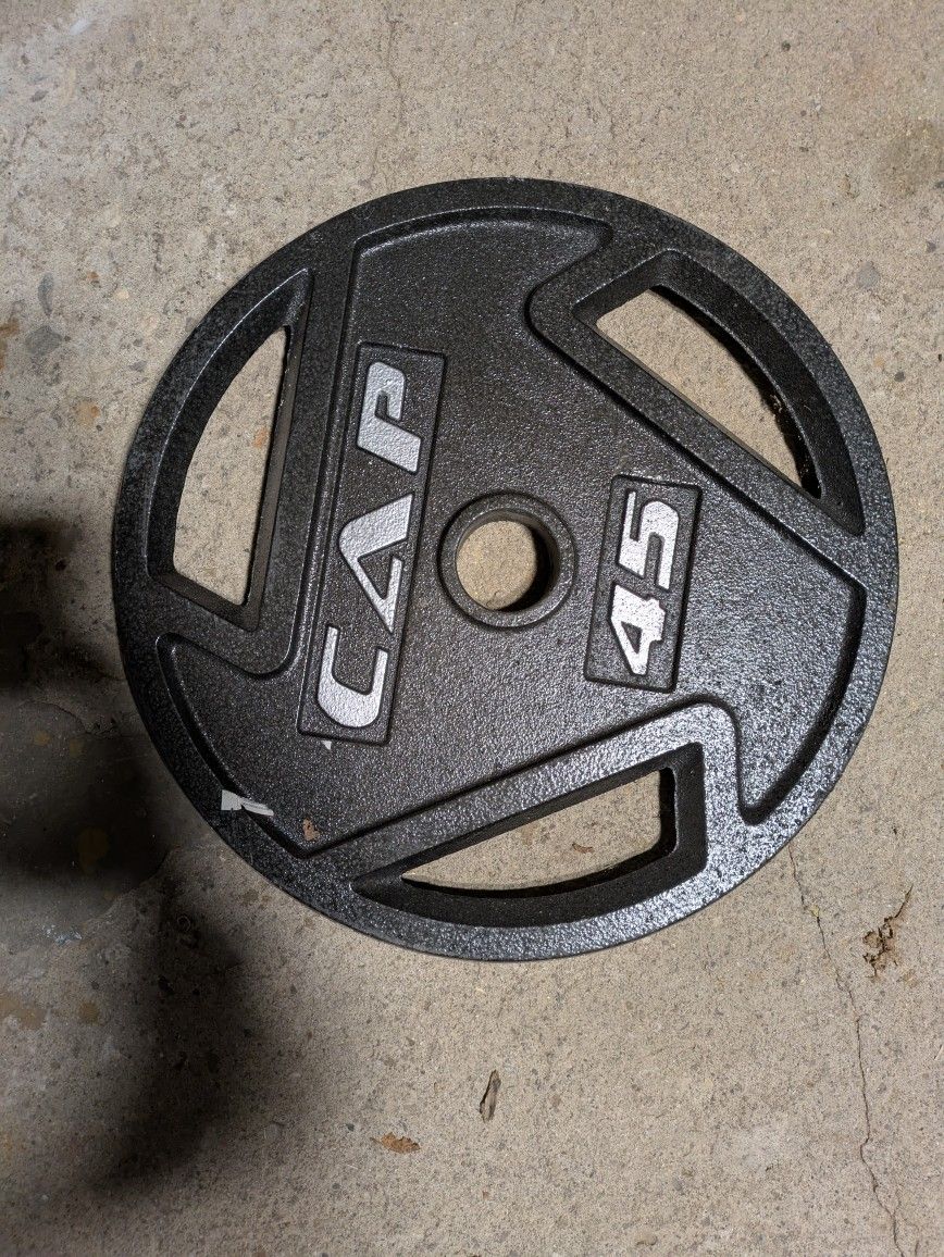 45lb Weight Plate