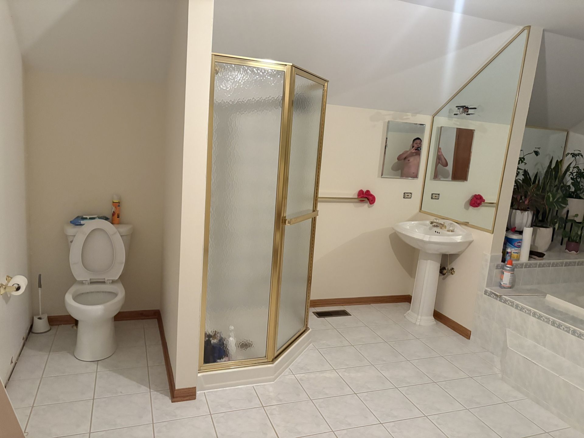 Bathroom Shower & Pedestal Sinks