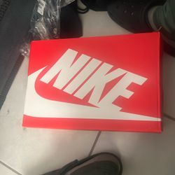 Panda Dunks Size 10.5 