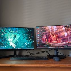2 PC Monitors And Duel Monitor Mount