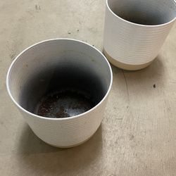 Plant Pots